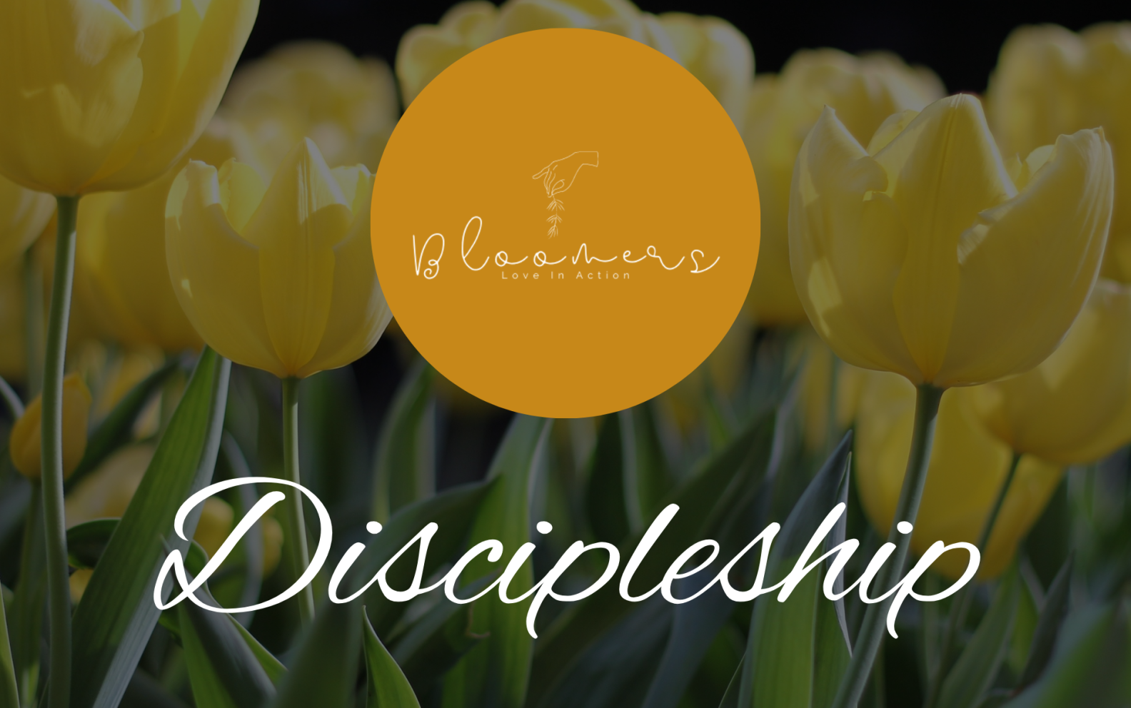 Discipleship Department Classroom
